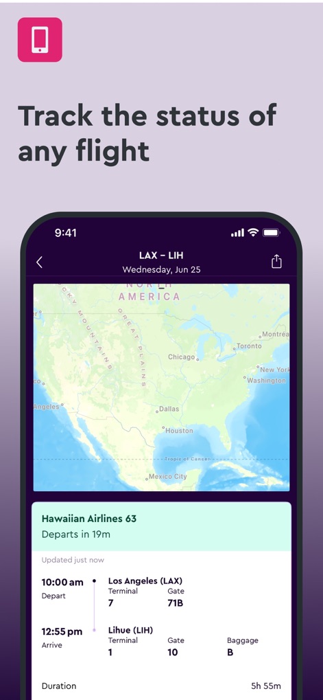 momondo: Flights, Hotels, Cars - null