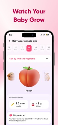 Pregnancy - Baby Tracker screenshot 3
