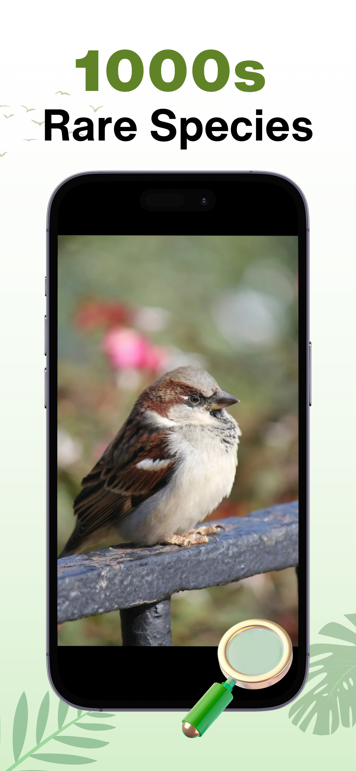 Bird Guru: Bird Identifier AI screenshot 5