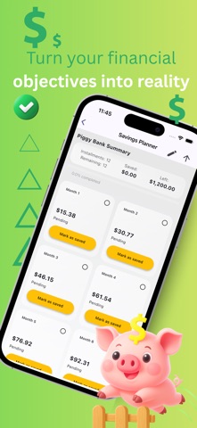 Piggy Banks Plan iPhone screenshot