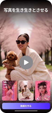 Mivio: Video Generator screenshot