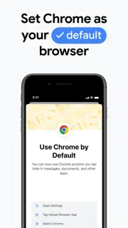Google Chrome screenshot 10