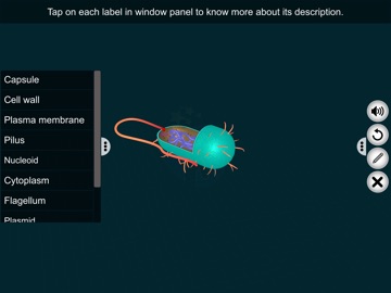 Prokaryotic Cell - EduTech Era iPad screenshot