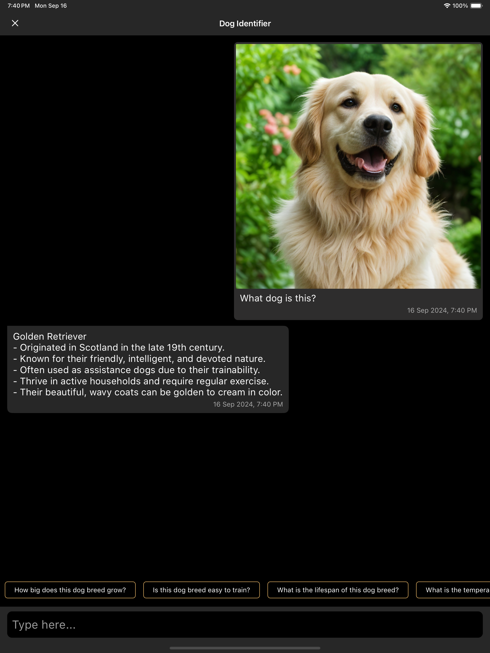 Dog Breed Identifier - DogID