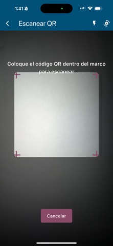 Asignación de Vehículos screenshot