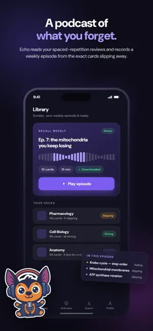 EchoDeck: AI Audio Flashcards screenshot 3