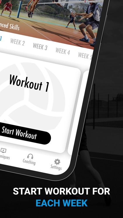 Volleyball Training Workouts