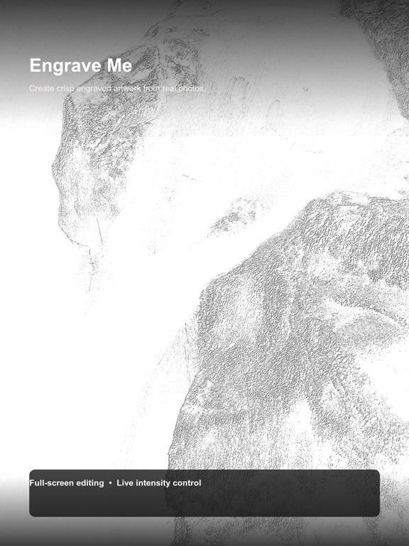 Screenshot #4 pour Engrave Me Pro