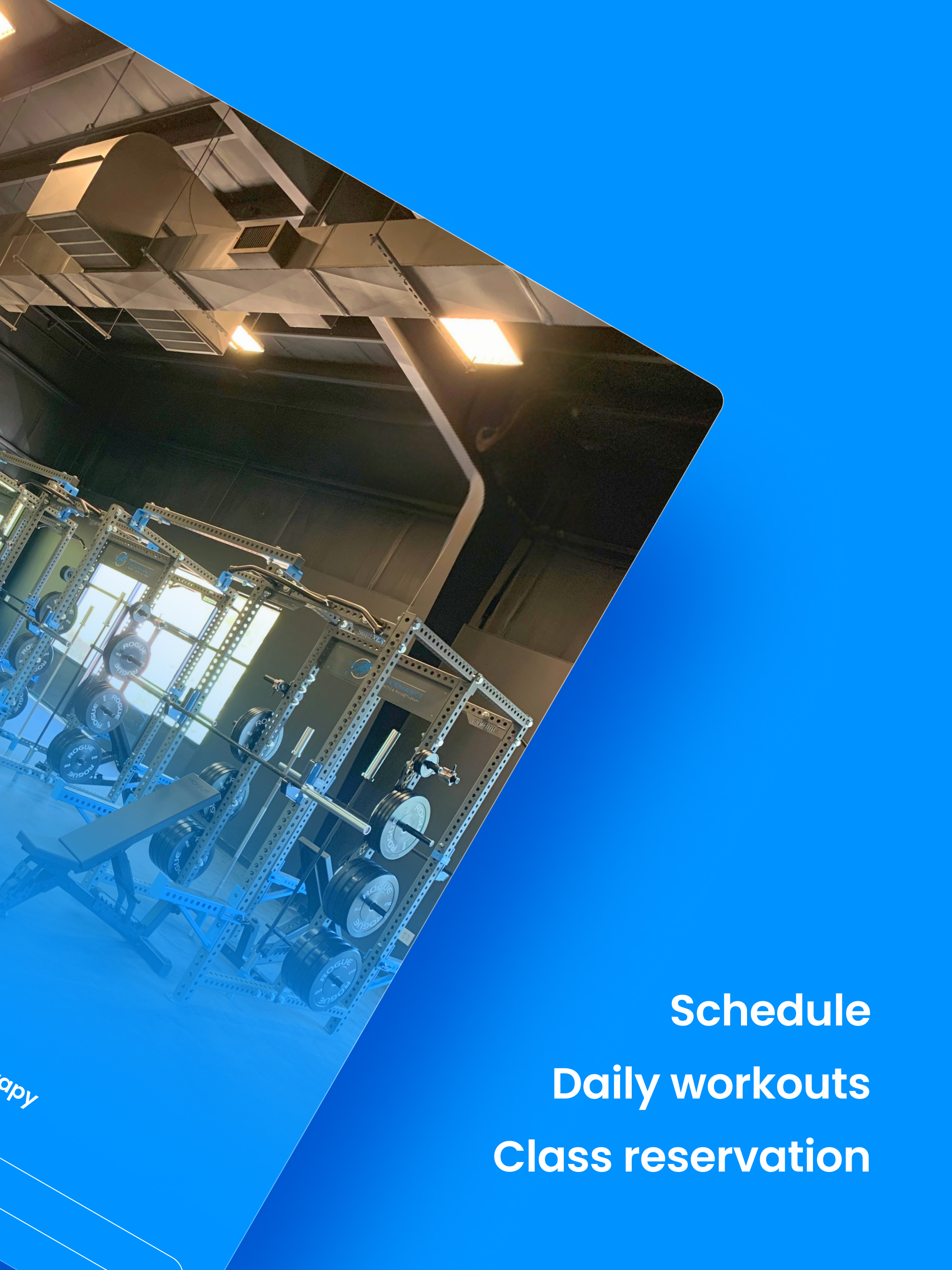 Sports Performance Chiro & PT screenshot 7
