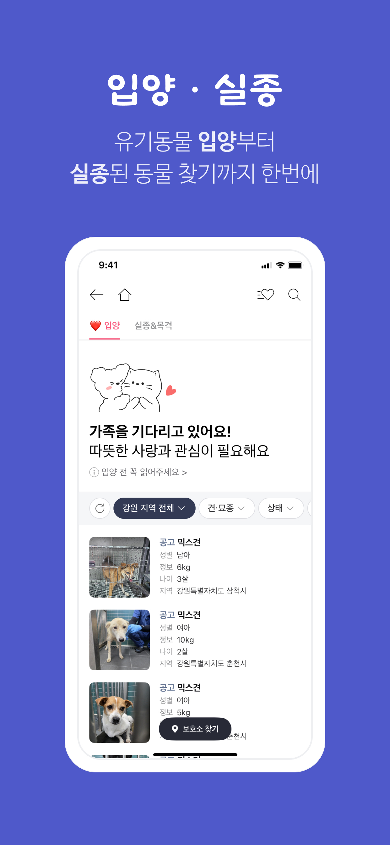 멍냥보감