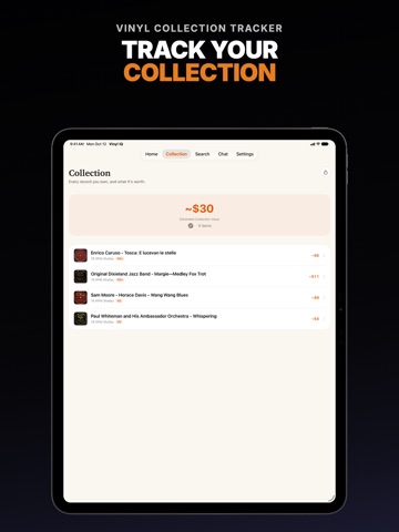 Vinyl Record Value Scanner: IQ iPad screenshot