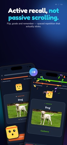 Flash's screenshot
