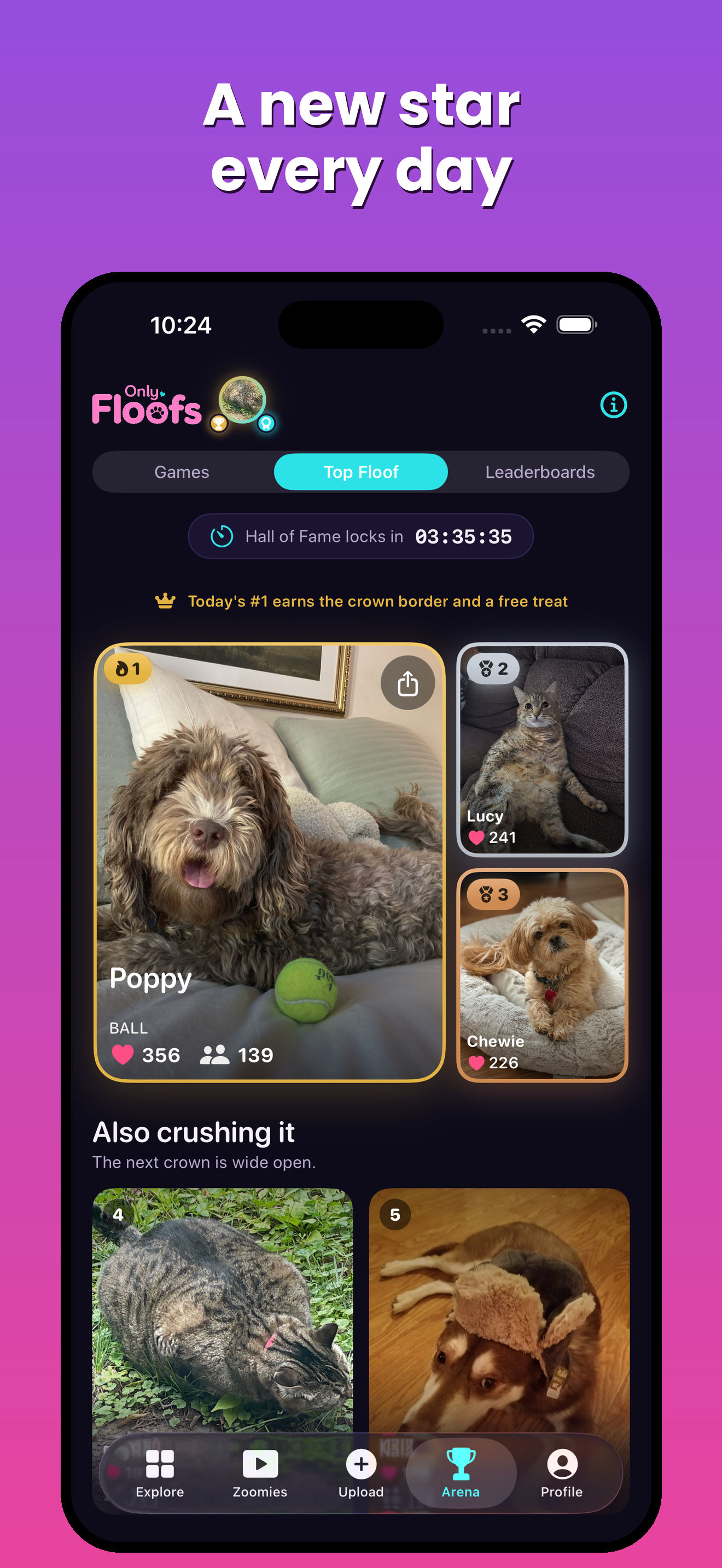 Only Floofs: Make Pets Famous screenshot 4