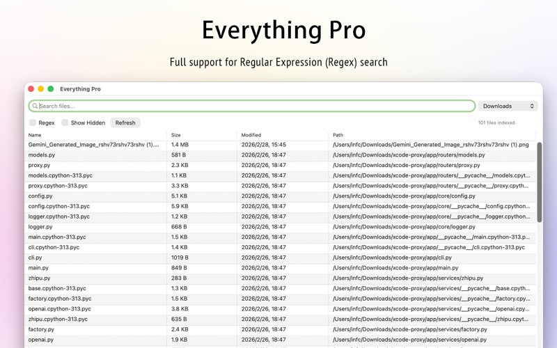 Everything 专业版 screenshot