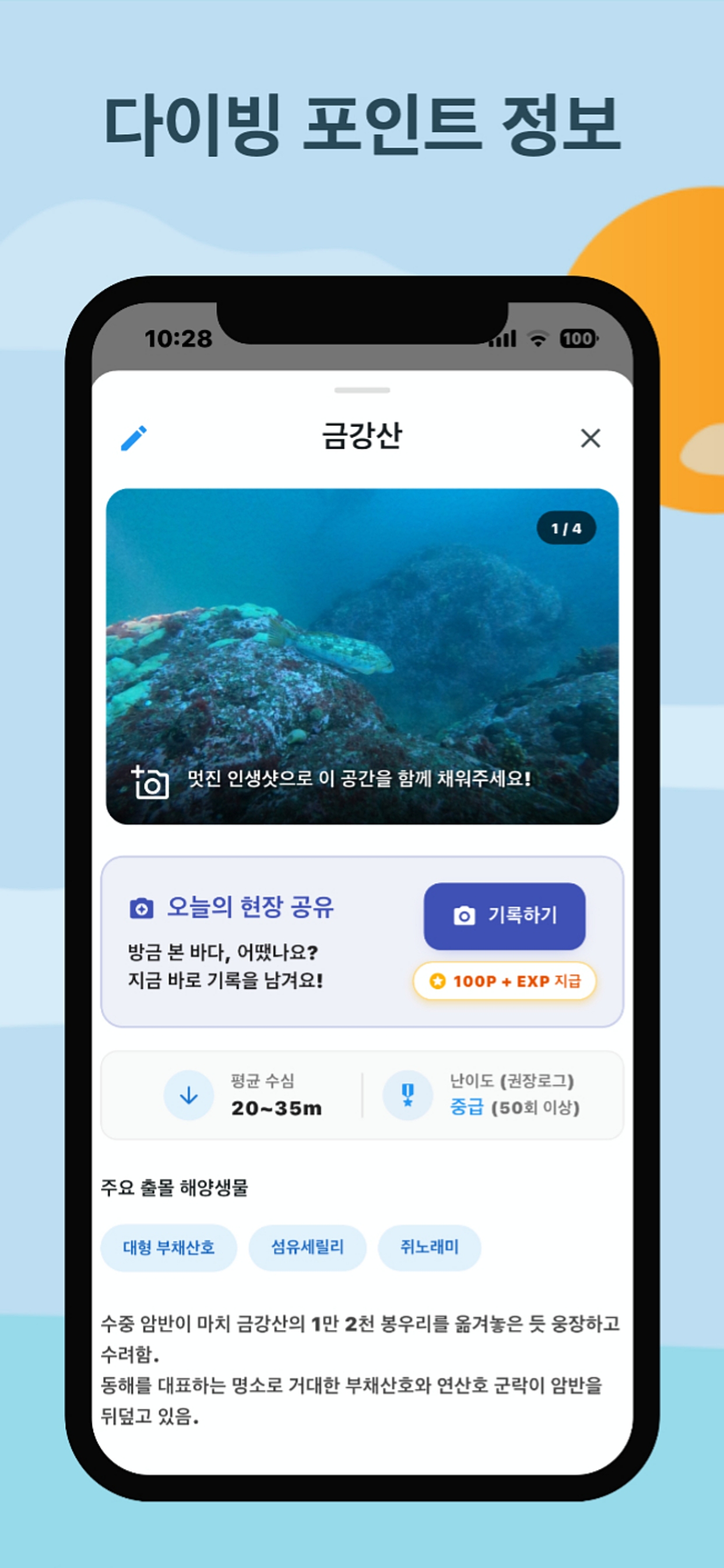 스쿠버다이빙 바다 날씨 로그북 해양 생물 - 해포츠