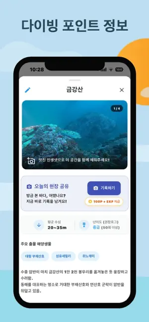 스쿠버다이빙 바다 날씨 로그북 해양 생물 - 해포츠 screenshot 4