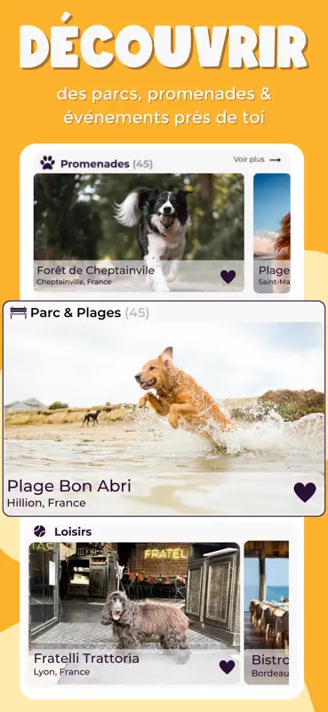 PlayDogs : Balade ton chien screenshot 2 of 7