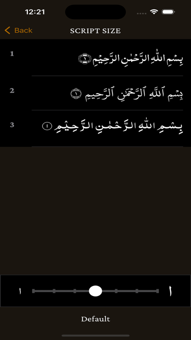 The Holy Quran App Screenshot