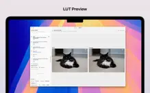 LUT-Lab: ICC To LUT Conversion iPhone image 2