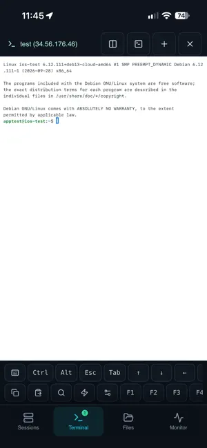 GpuTerm screenshot 2