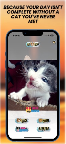 DailyCatApp Screenshot 2 of 6