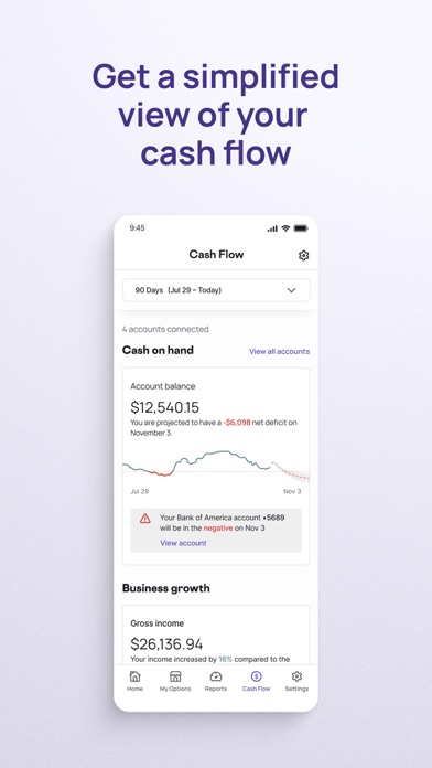 Nav Business Financial Health Screenshot