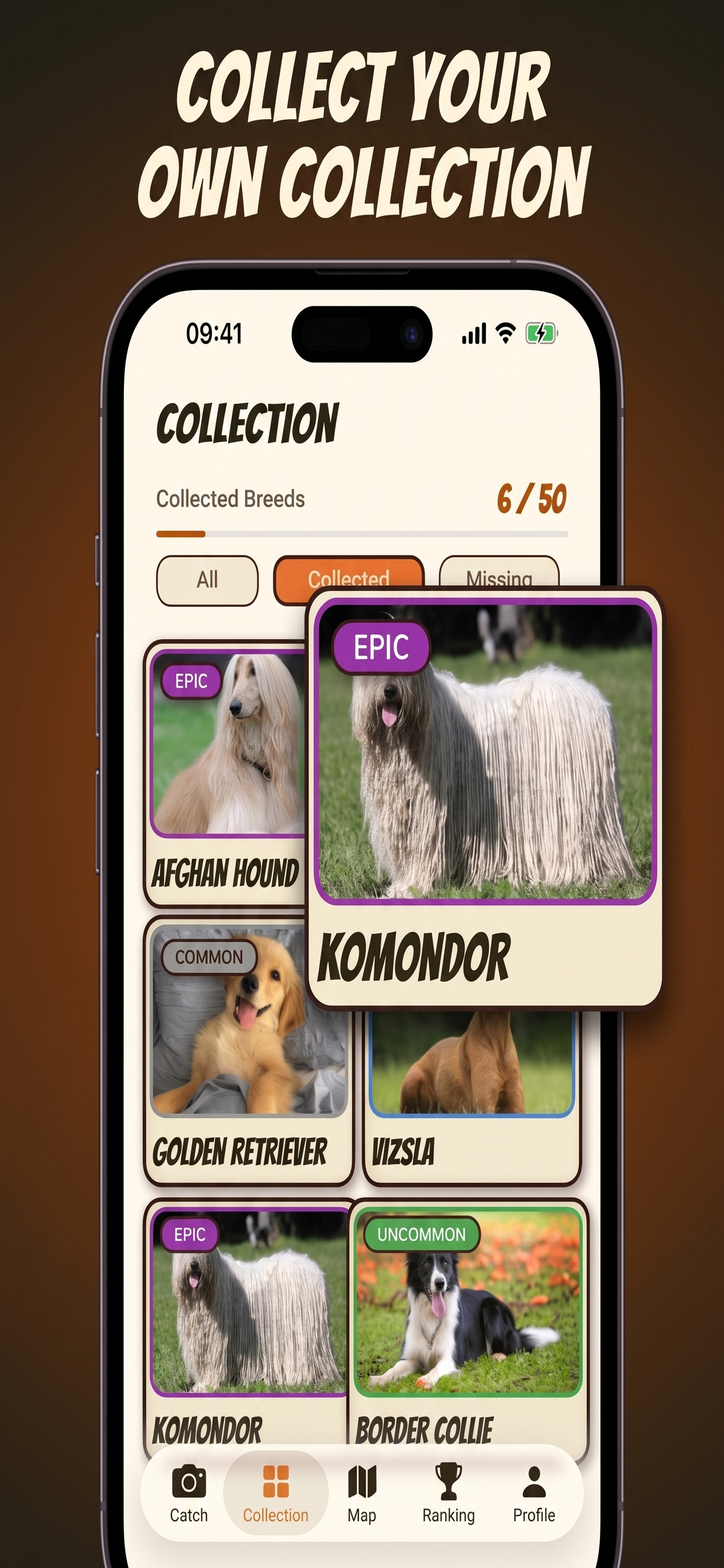 StreetPaws: Dog Collector screenshot 3