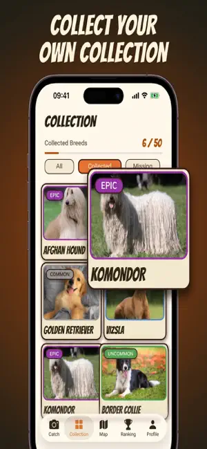 StreetPaws: Dog Collector screenshot 3