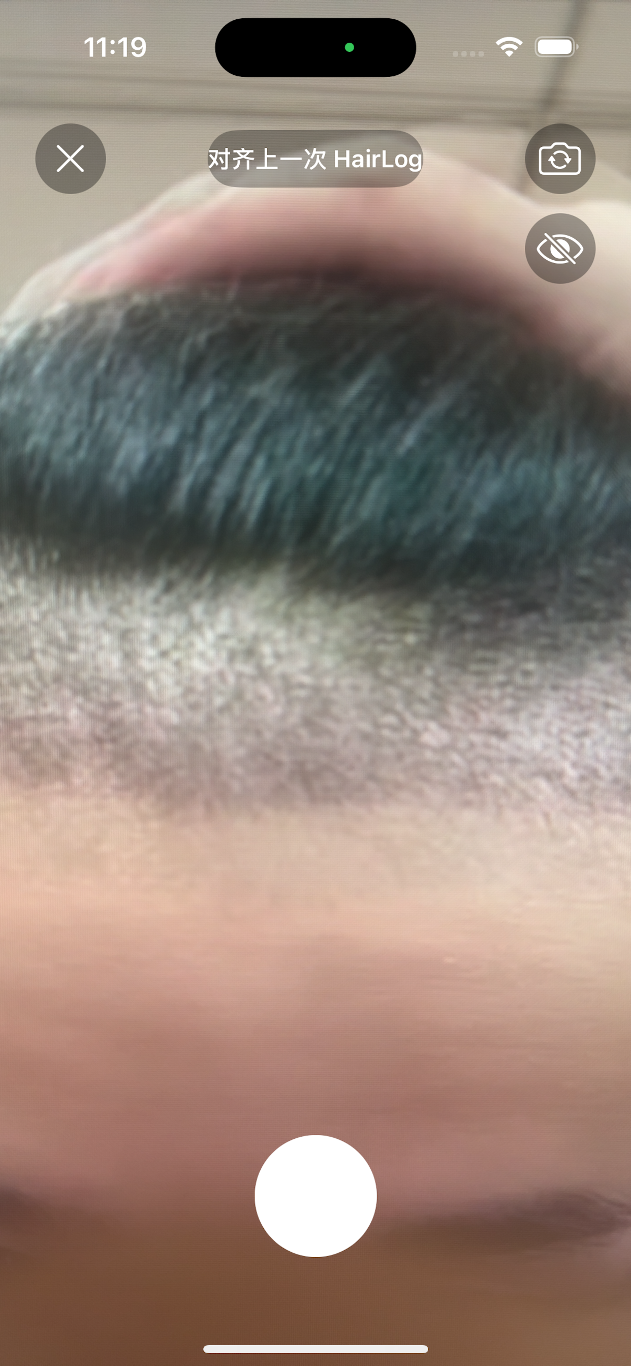 HairLog+