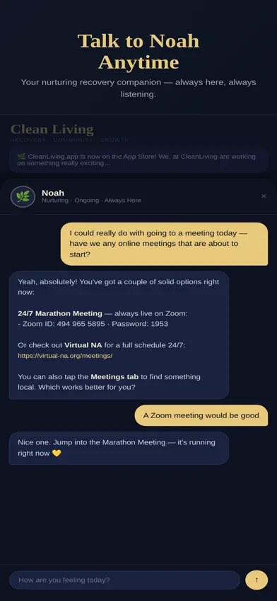 Clean Living: NA Recovery screenshot 2
