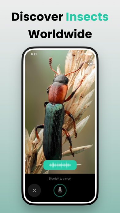 Picture & Ask: Pocket Expert Screenshot