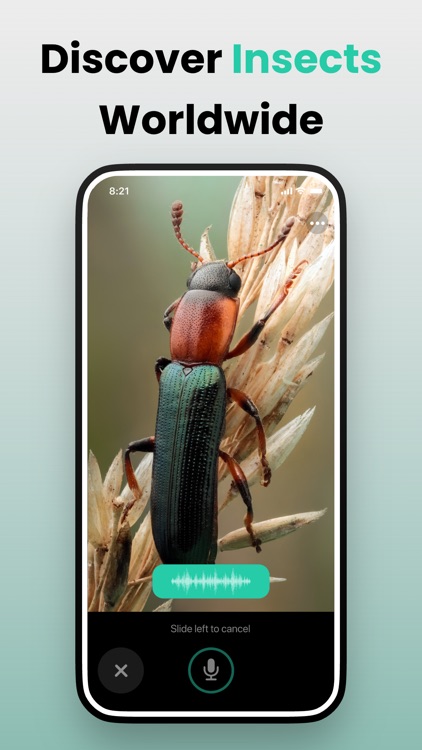 Picture & Ask: Pocket Expert