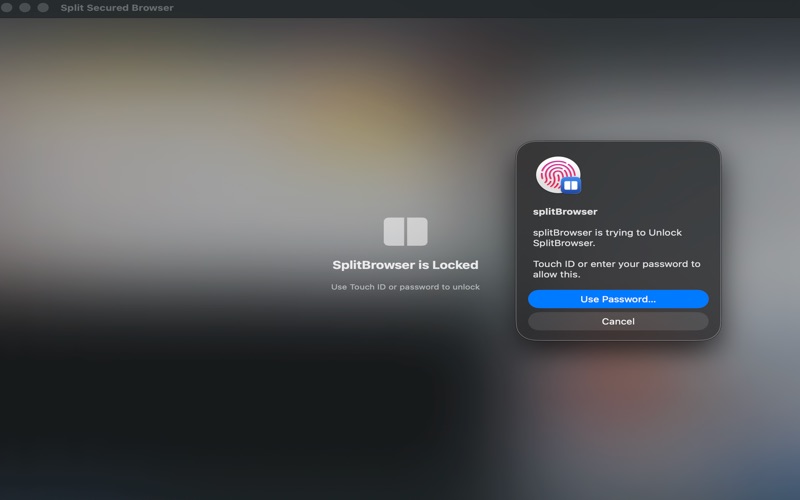 SplitSecuredBrowser screenshot
