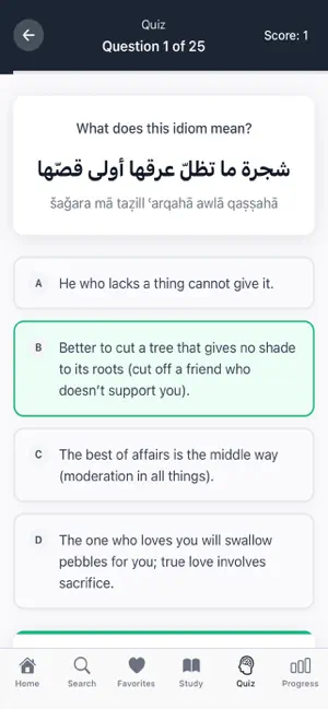 Amthal: Arabic Expressions screenshot 4