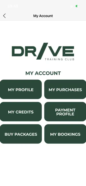 DRIVE. screenshot 2