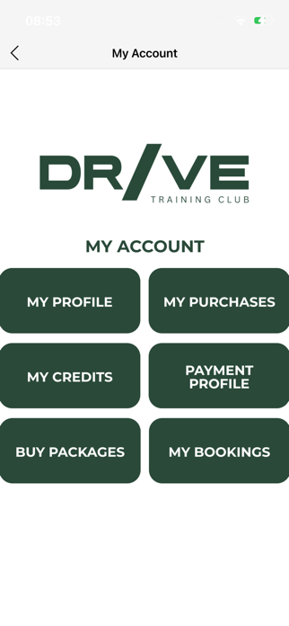 DRIVE. Screenshot 2 of 3