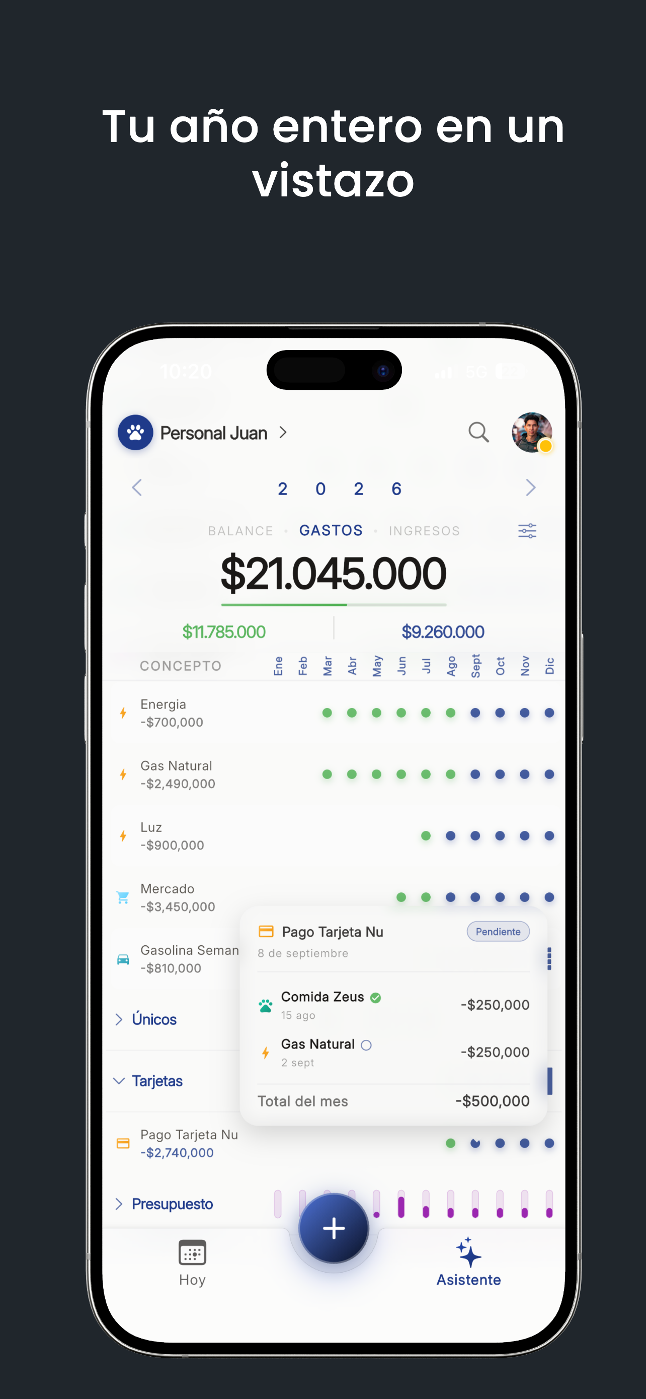 NoSeMePasa: Planeador de Pagos screenshot 3