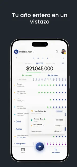 NoSeMePasa: Control de Pagos screenshot 3