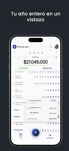 NoSeMePasa: Control de Pagos Screenshot 3 of 9