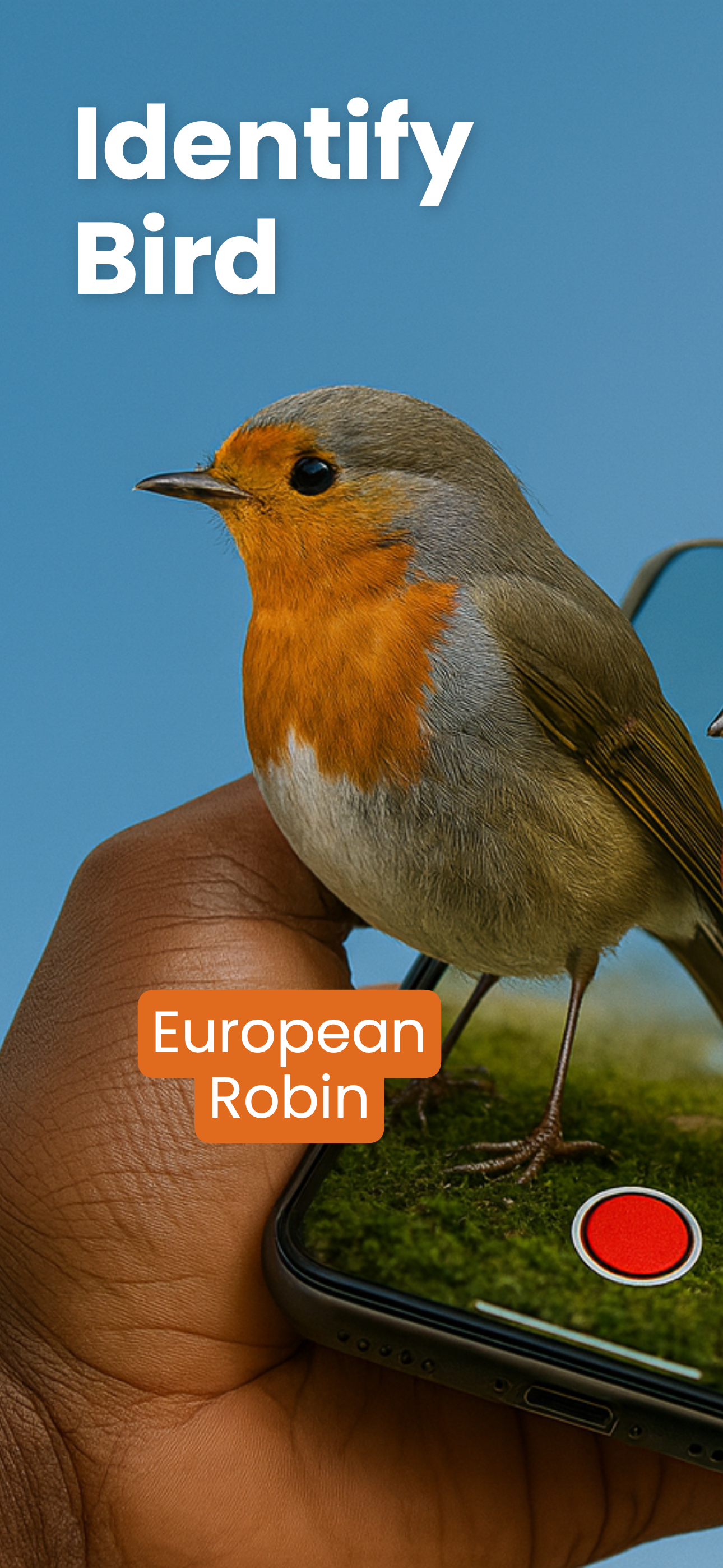 Bird Identifier AI - Birdby