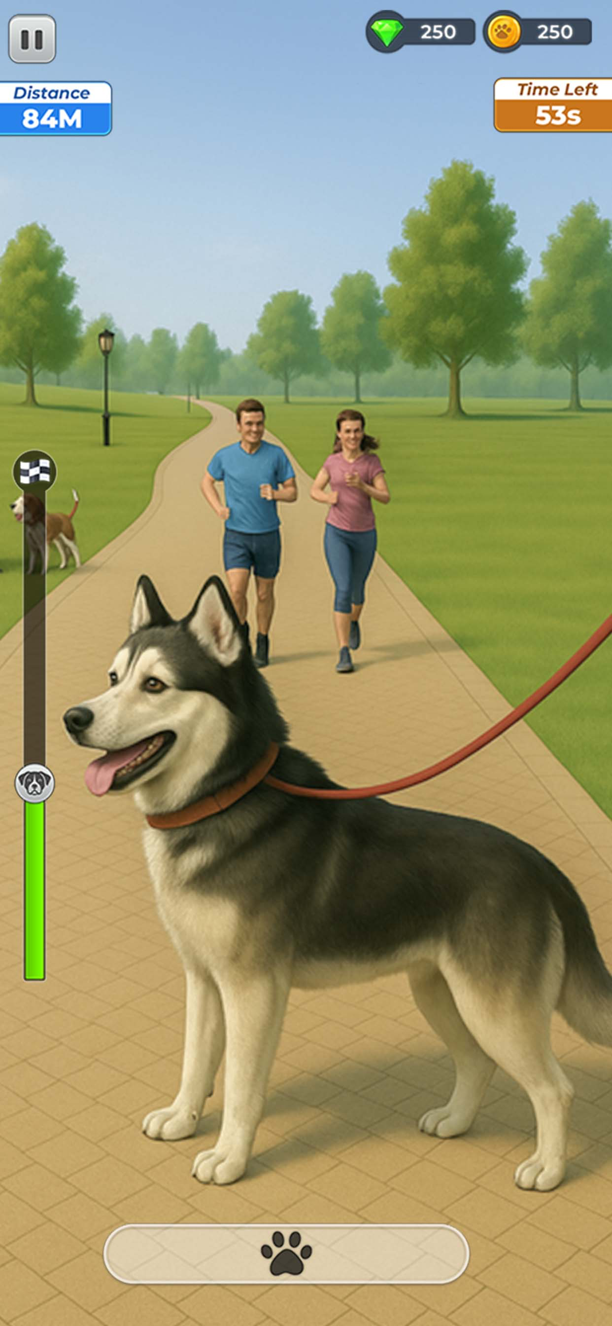 Dog Walk: Animal Rescue Game