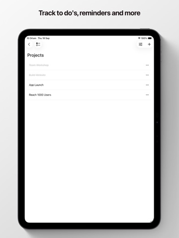 Branches: Simple Planner iPad screenshot