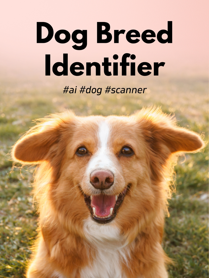 Dog Scanner Breed Identifier
