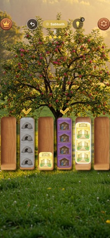 Bible Wood Sort iPhone screenshot