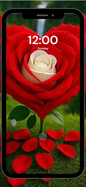 Rose Flower Wallpapers: Floral screenshot 3