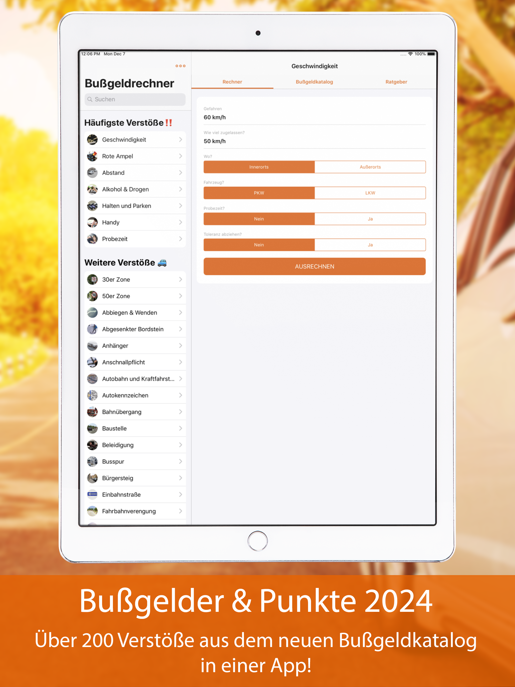Bußgeldrechner 2026+ screenshot 6