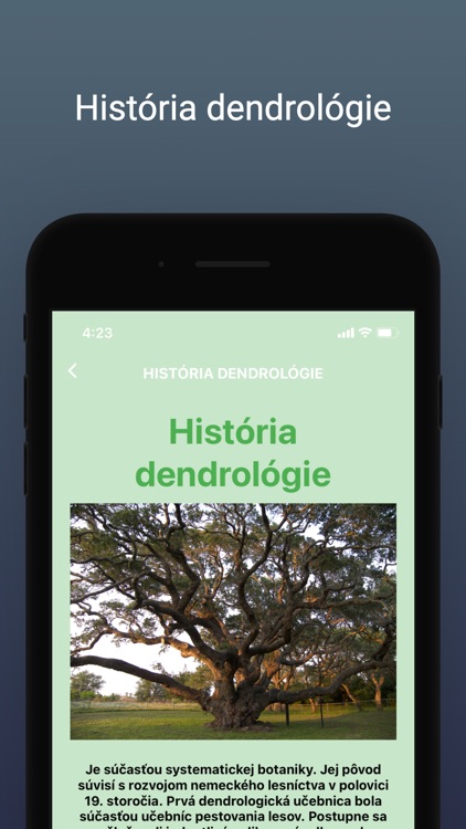 Dendrológia mesta Púchov screenshot-5