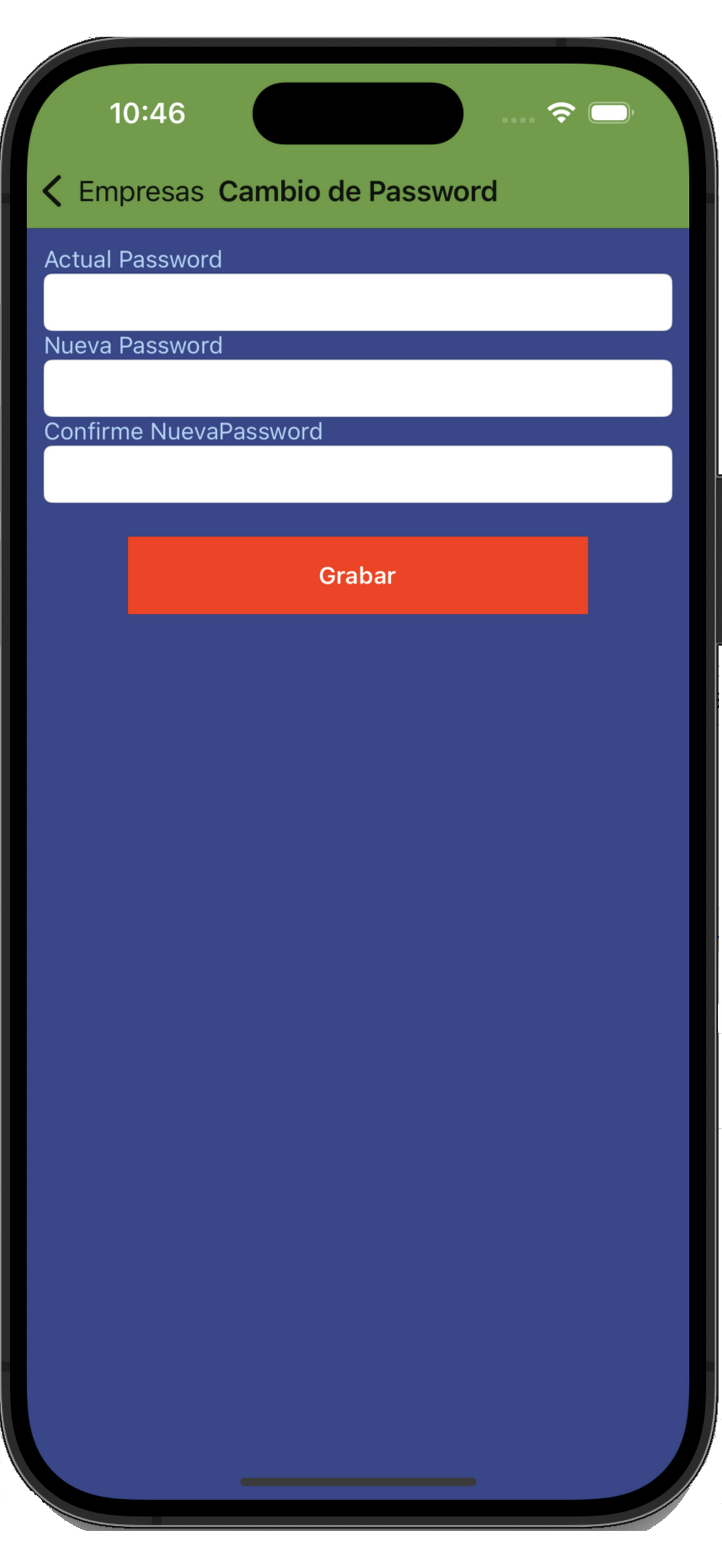 APuntoInfo screenshot 9