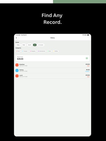 Type Spend: Expense Tracker iPad screenshot