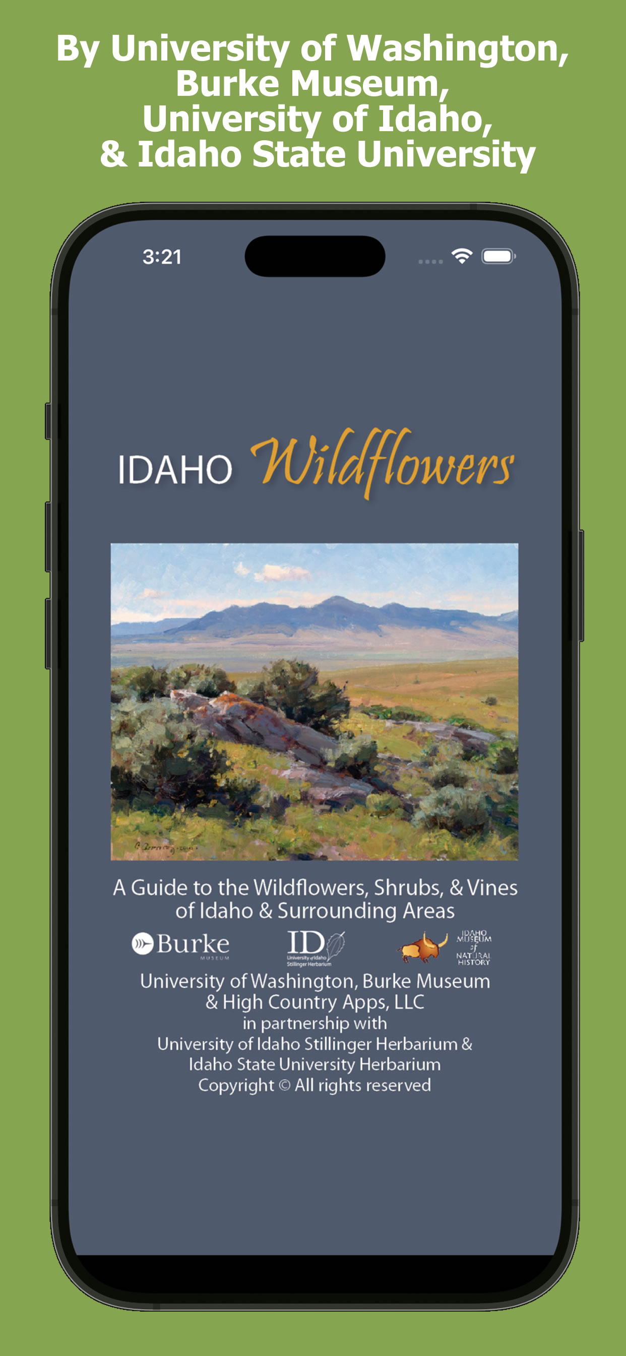 Idaho Wildflowers